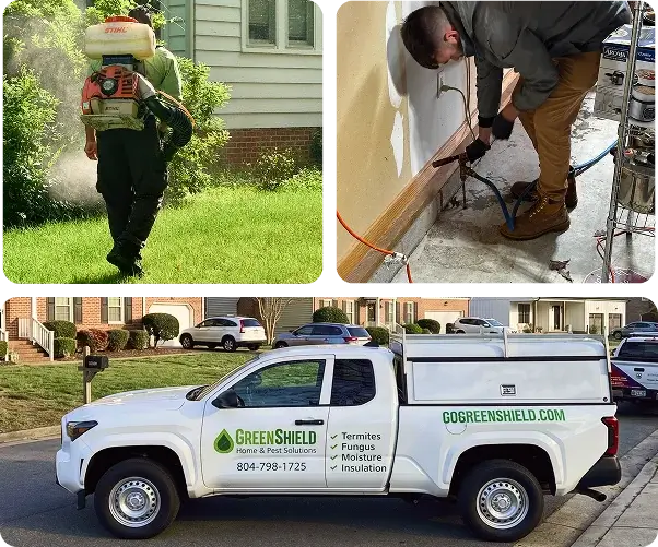 GreenShield pest control technician spraying lawn, worker inspecting under a sink, and branded company truck