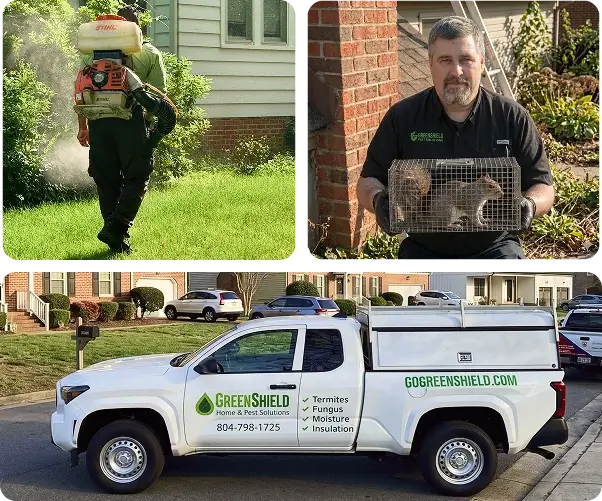 GreenShield pest control technicians at work alongside a branded service truck